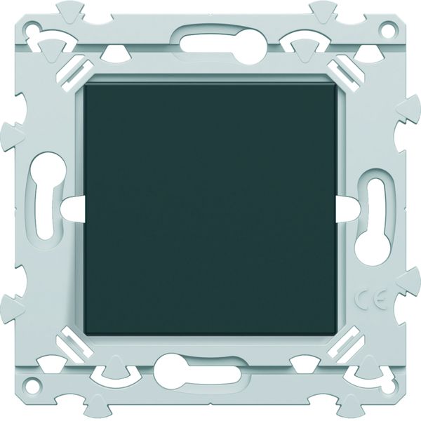 InterBP Duo Essensya va et vient ou bouton poussoir Anthracite WE022A