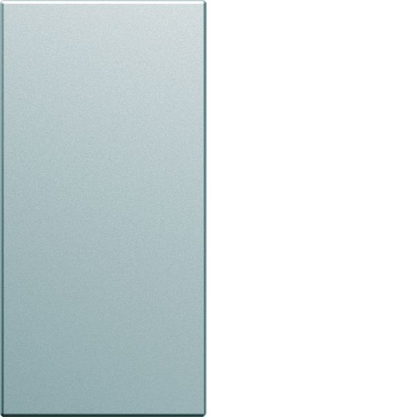 Enjoliveur Gallery interrupteur 1 module , finition Titane WXD010T