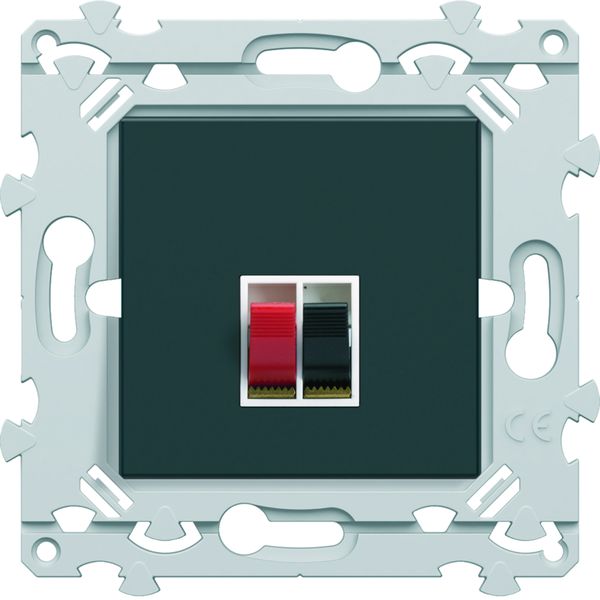 Prise Essensya haut parleur Anthracite WE290A