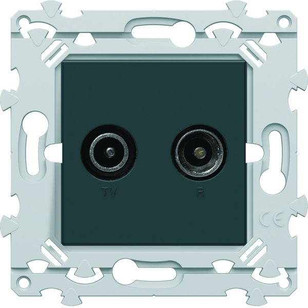 Prise Essensya TV+FM directe Anthracite WE253A