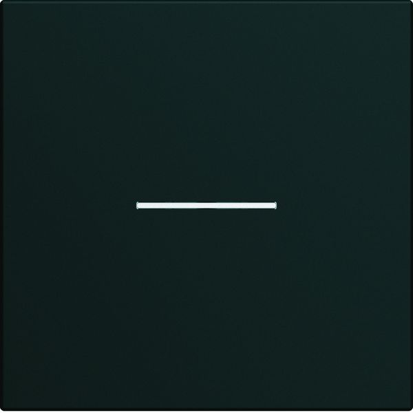 Enjoliveur Gallery interrupteur à voyant 2 modules , finition Night WXD001N