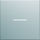 Enjoliveur Gallery interrupteur à voyant 2 modules , finition Titane WXD001T