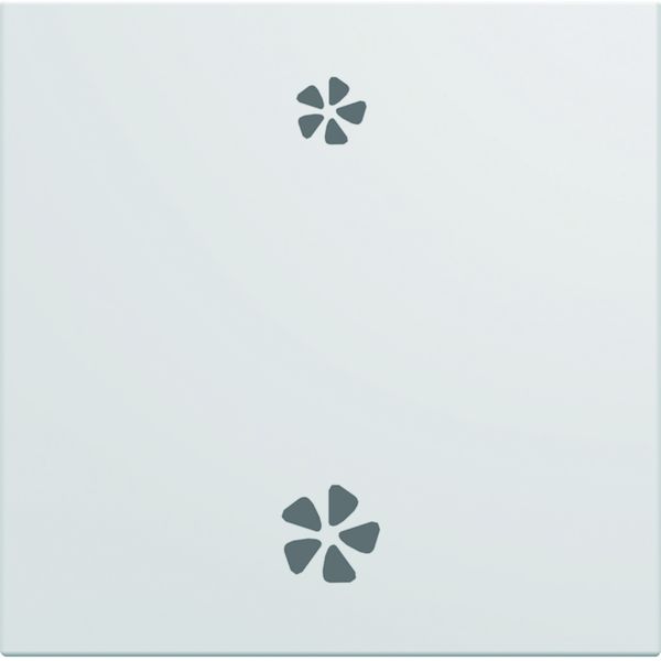 Enjoliveur Gallery VMC 2 modules , finition Pure WXD003B