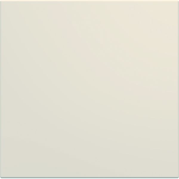 Enjoliveur interrupteur gallery à tirage dune WXD005D