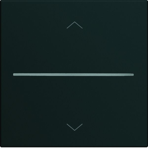 Enjoliveur Gallery volet roulant connecté 2 modules , finition Night WXD080N