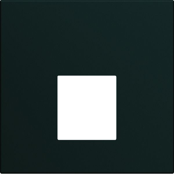 Enjoliveur Gallery prise RJ45 2 modules , finition Nuit WXD202N