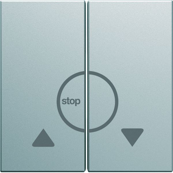 Enjoliveur Gallery volet roulant bouton poussoir 2 modules , finition Titane WXD301T