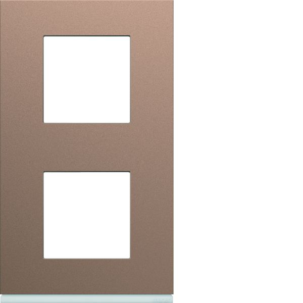 Plaque de finition Gallery 2 postes Rosé verticale entraxe 71 mm WXP0542