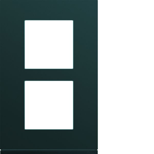 Plaque de finition Gallery 2 postes Anthracite verticale entraxe 57 mm WXP1022