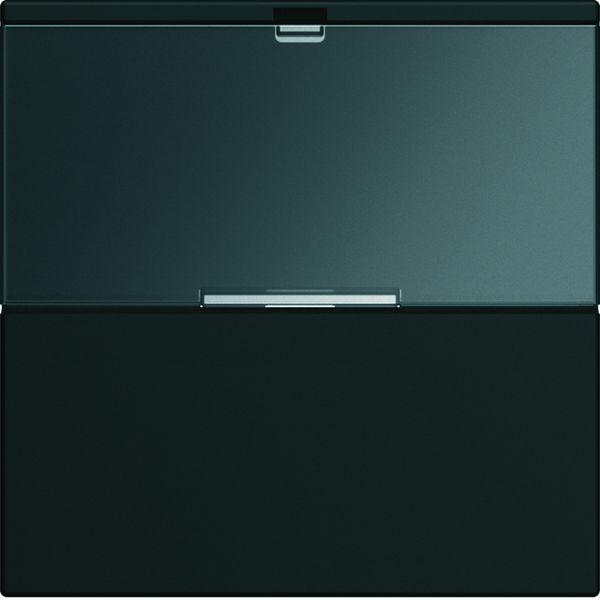 Enjoliveur Gallery interrupteur avec porte étiquette 2 modules , finition Night WXD002N