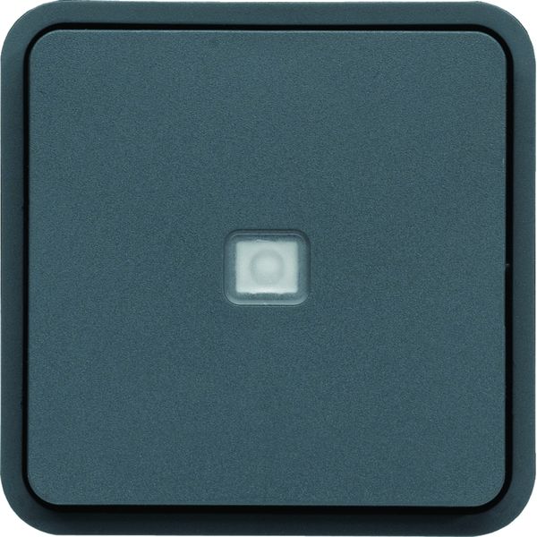 cubyko Inter VV témoin associable gris IP55 WNA003