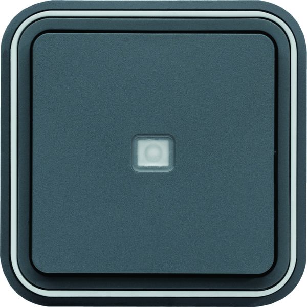 Bouton poussoir 1F voyant témoin Cubyko étanche IP55 gris pose en encastré WNE023