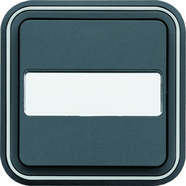 cubyko Poussoir porte-étiquette 1F encastré à griffes gris IP55 WNE025G