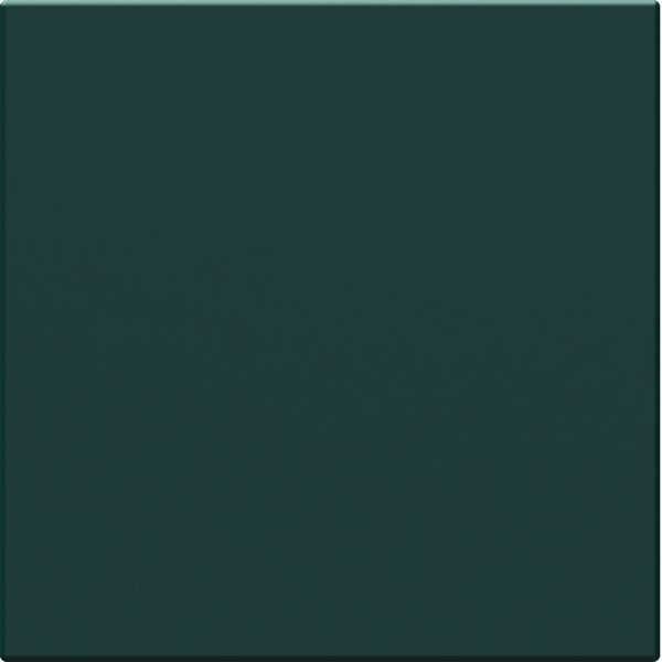 Obturateur Essensya Anthracite WE157A