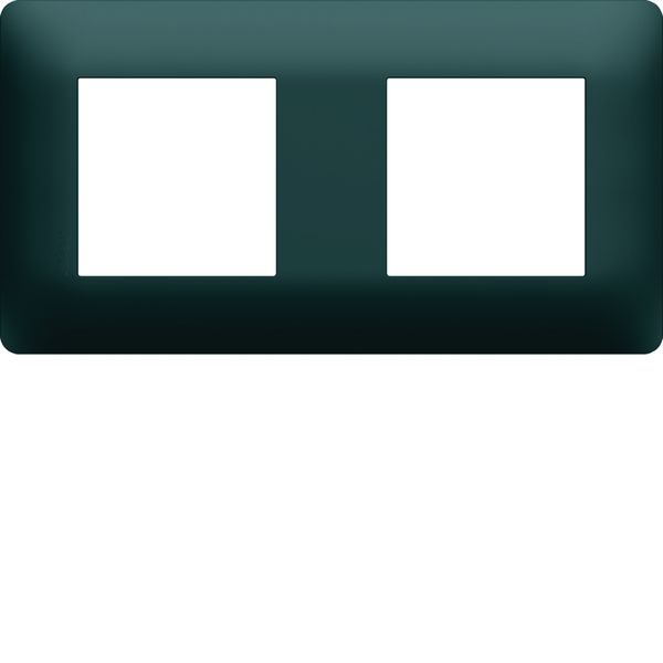 Plaque de finition Essensya 2 postes Anthracite WE522