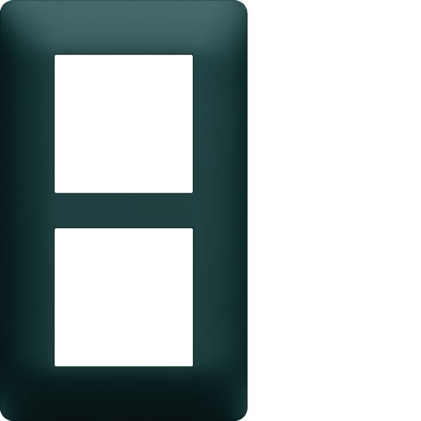 Plaque de finition Essensya 2 postes Anthracite entraxe 57 mm WE526