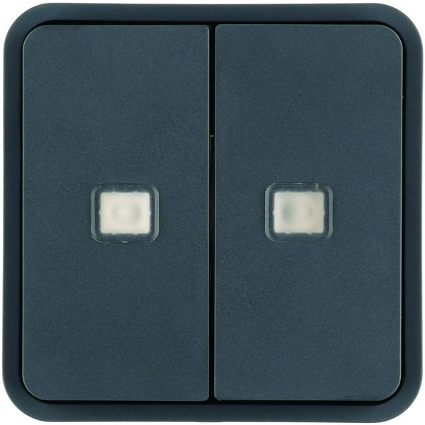 Cubyko 2 touches KNX à voyants coloris gris WNT954