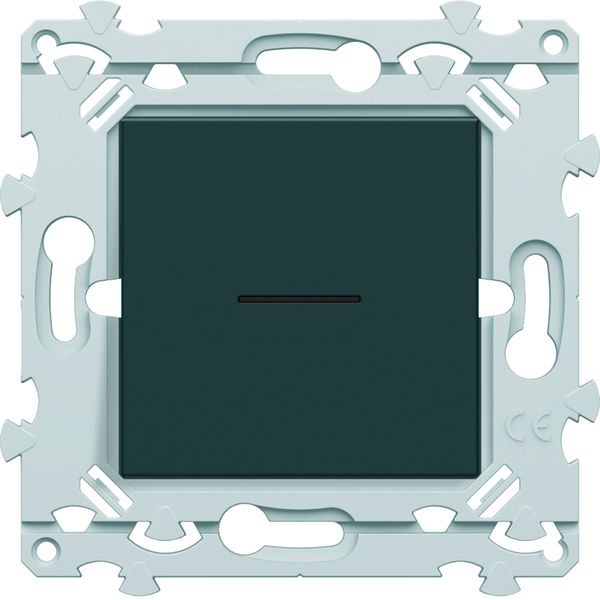 InterBP Duo Essensya va et vient ou bouton poussoir à voyant Anthracite WE023A