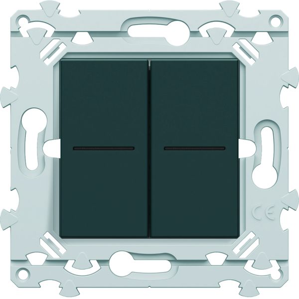 Double InterBP Duo Essensya va et vient ou bouton poussoir à voyant Anthracite WE045A