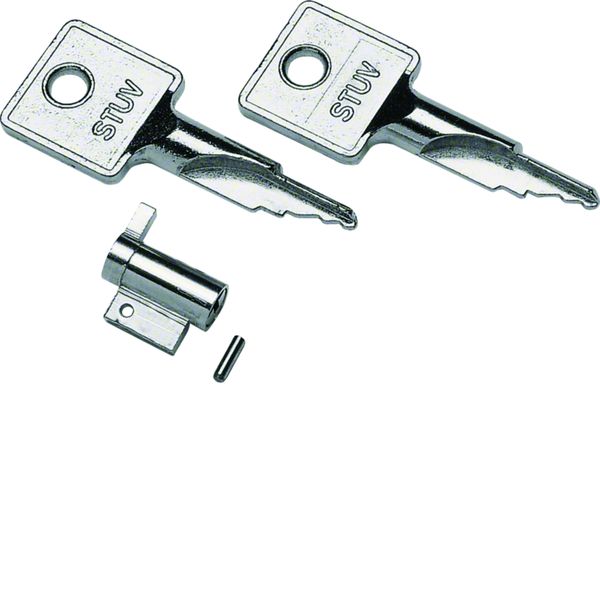 Serrure à clé pour coffrets cache-bornes VZ313