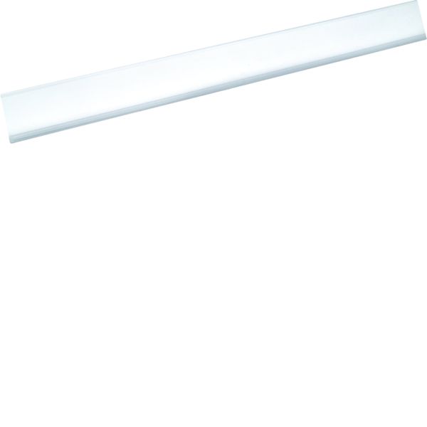 portes-étiquettes transparents VF/VS 450mm (contenu 5 pièces) VZ787N