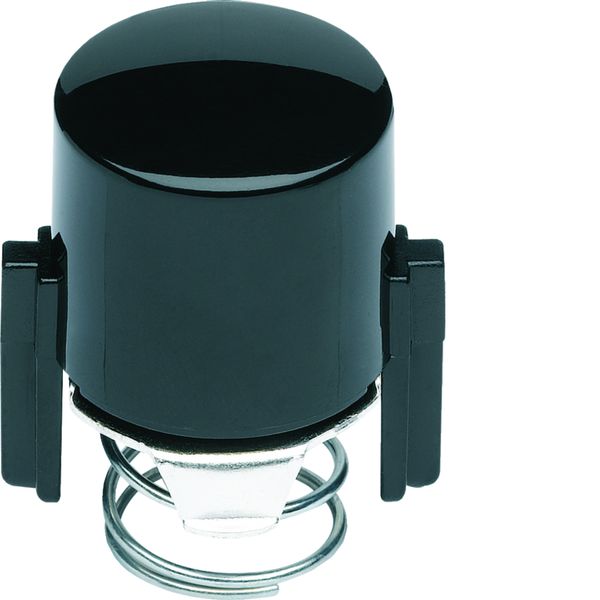 1930 Enjoliveur de poussoir à voyant E10 noir WMV783N