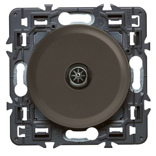 Prise Tv M Graphite legrand 099546