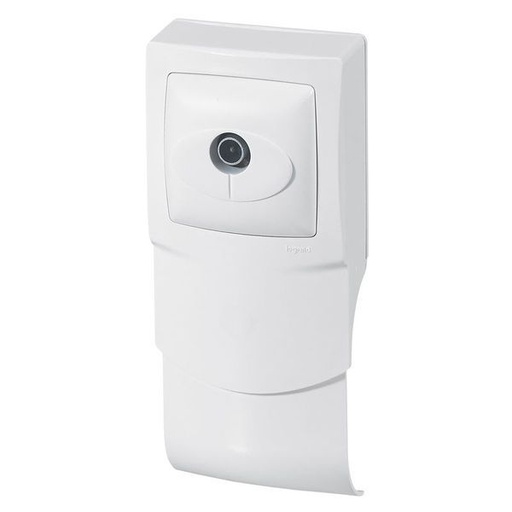 [LEG298924] Cadre 1 Poste + Tv Pour Plinthe legrand 298924