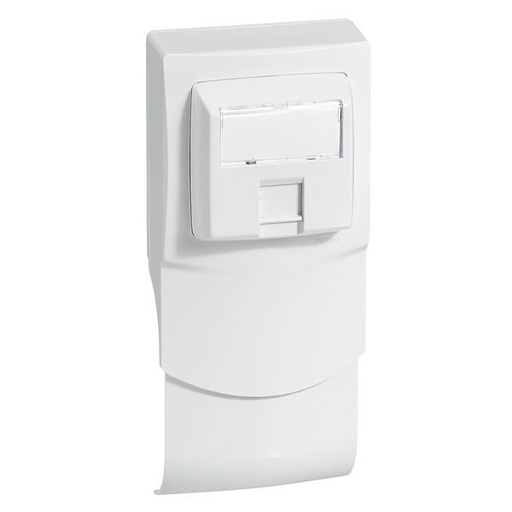 [LEG298926] Cadre 1 Poste + Rj 45 Pour Plinthe legrand 298926