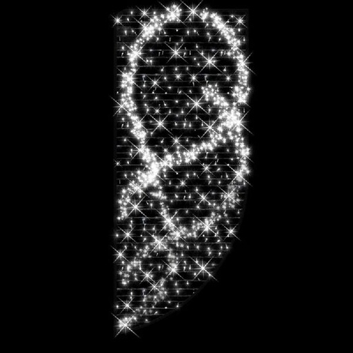 [FES-43229LED-P0] BRILLANT - Motif ,5mxL1m230V Blanc/blanc pétillant - Festilight 43229LED-P0