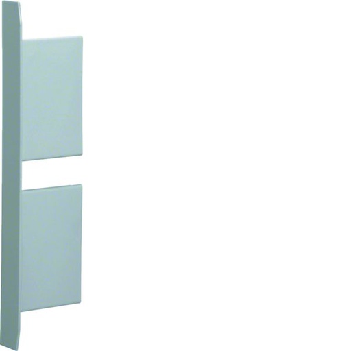 [HAG-BKIS251306DVERZ] Embout pour BKIS épais 25mm 2 compart acier (VERZ) zingué BKIS251306DVERZ