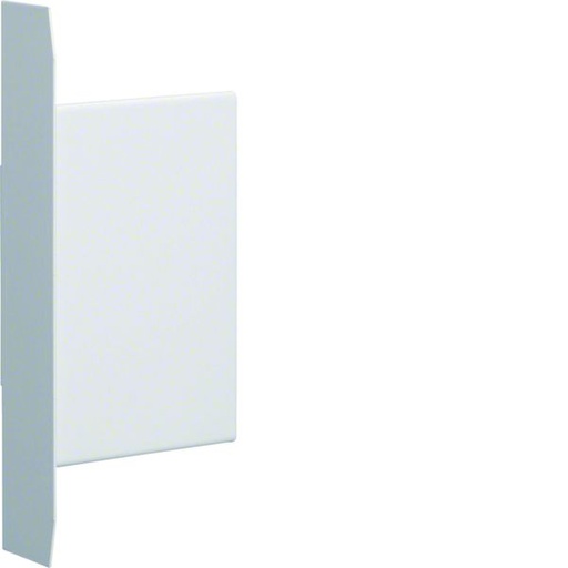 [HAG-BKIS251306E9016] Embout pour BKIS épais 25mm acier RAL 9016 Pure BKIS251306E9016