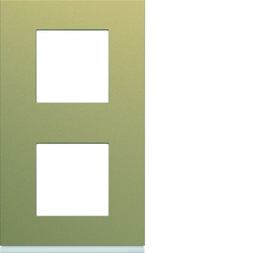 [HAG-WXP0442] Plaque de finition Gallery 2 postes Champagne verticale entraxe 71 mm WXP0442