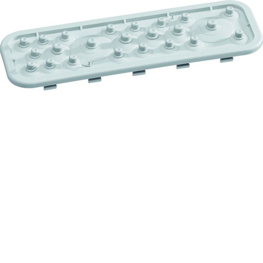 [HAG-VZ741] Plaque passe fils IP41 pour coffrets VegaD VZ741