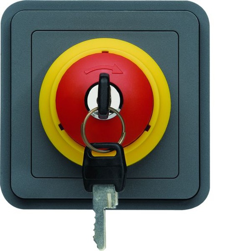 [HAG-WNA032] cubyko Arrêt d'urgence avec clé associable gris IP55 WNA032