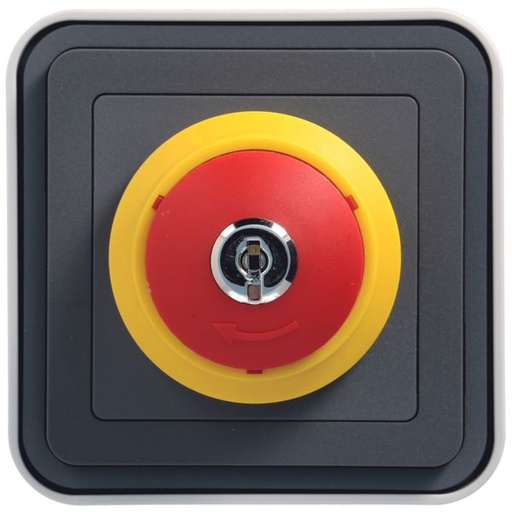 [HAG-WNC032] cubyko Arrêt d'urgence avec clé saillie gris IP55 WNC032