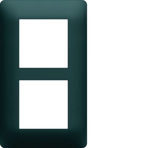 [HAG-WE526] Plaque de finition Essensya 2 postes Anthracite entraxe 57 mm WE526