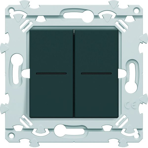 [HAG-WE045A] Double InterBP Duo Essensya va et vient ou bouton poussoir à voyant Anthracite WE045A