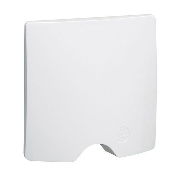 Sortie De Câble Ip44 Dooxie Livrée Complète Avec Plaque Fini legrand 600324