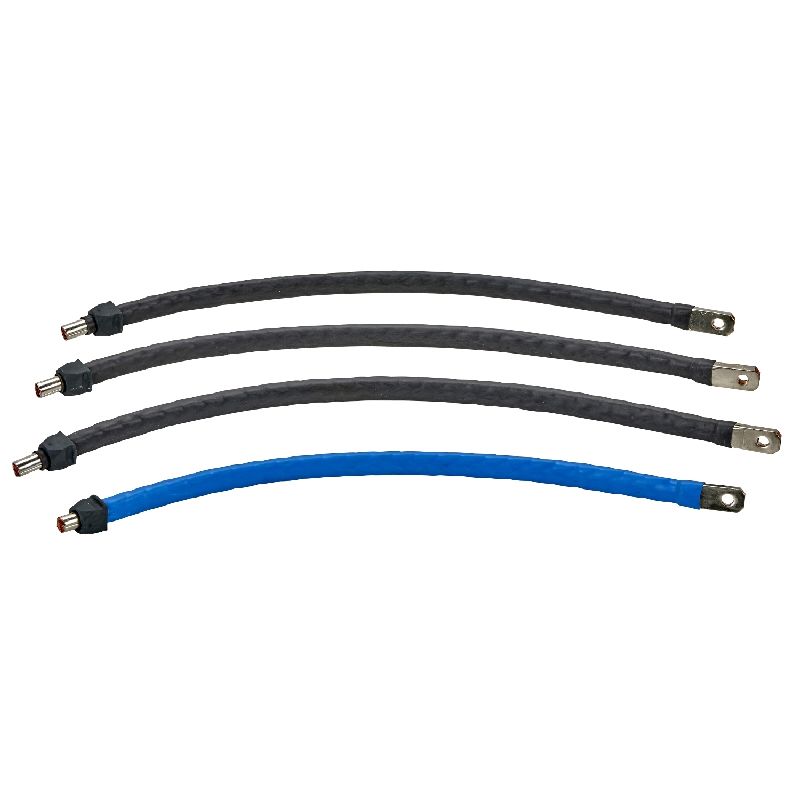 Linergy BW - 4 Liaisons souples - 4P - 160A vers : LVS04030