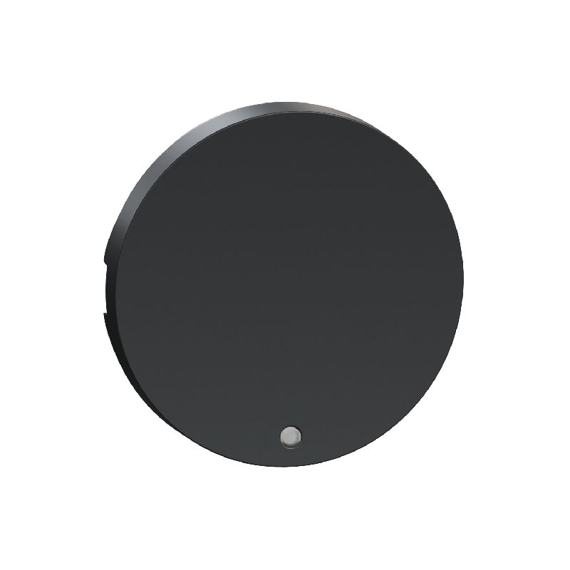 Odace, enjoliveur Anthracite, livré sans LED S540297