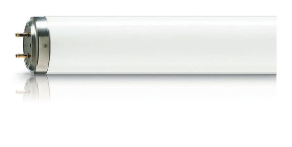 MASTER PL-L 55W_865_4P 2G11 261700 Philips