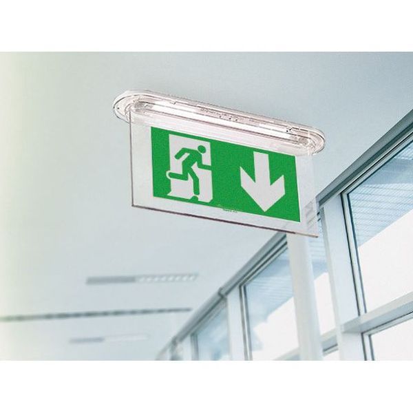 Plaque De Signalisation D'Evacuation Arcor Picto Sortie Flec legrand 062583