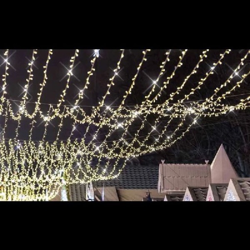 [FES-54501-8-W9-Z] COSMIC - Plafond Racc 2x30m8lignes230V Blanc chaud pétillant - Festilight 54501-8-W9-Z