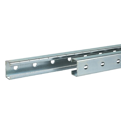 [SCHAM1EC200] PROFILE CRANTE L=2000 AM1EC200
